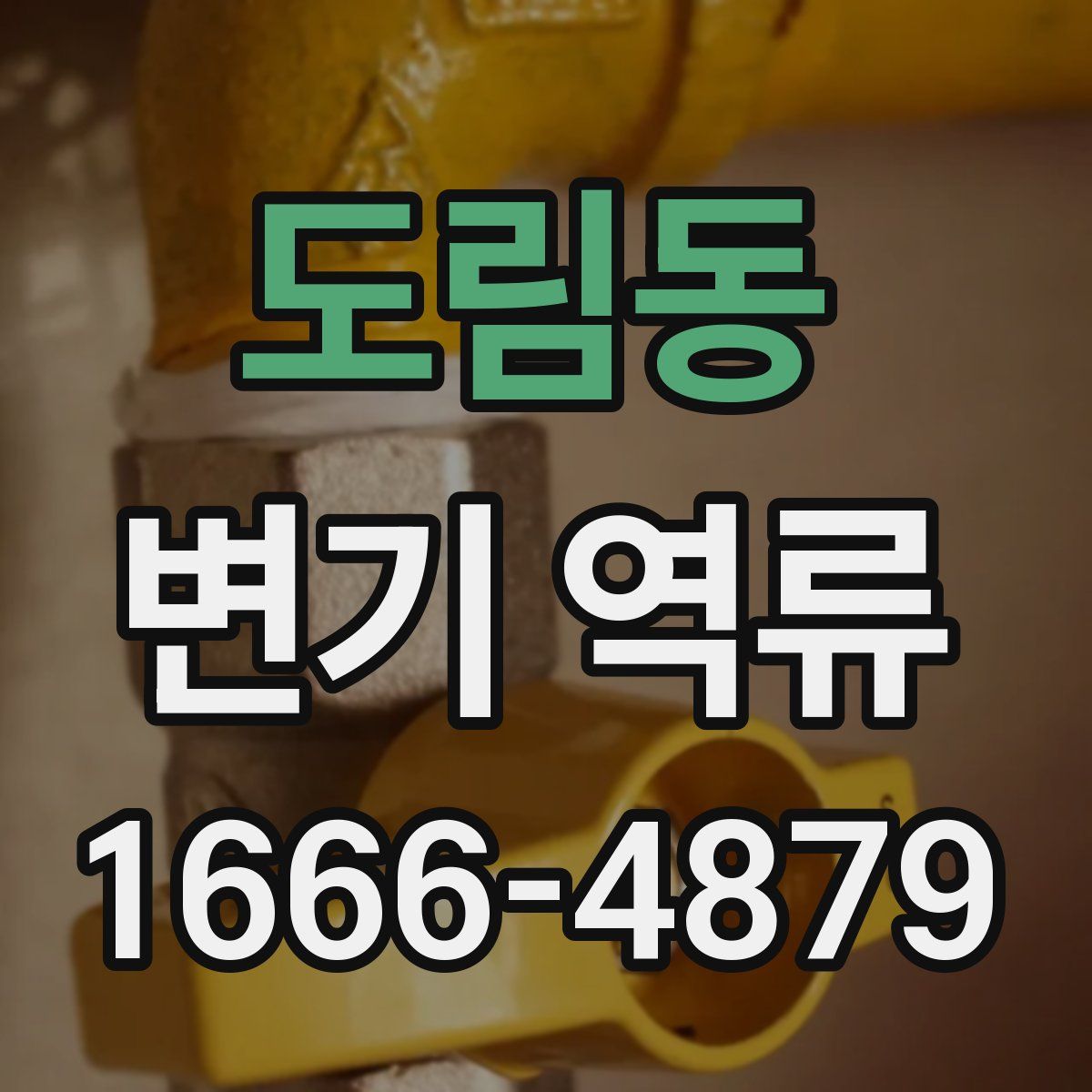 도림동 변기 역류