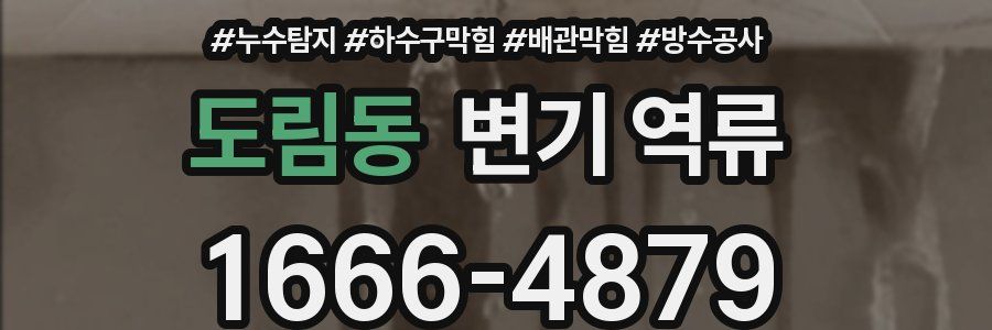 도림동 변기 역류