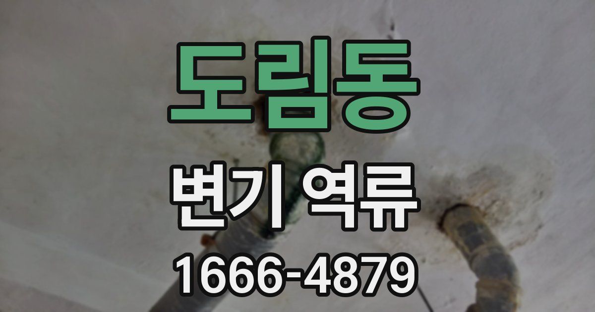도림동 변기 역류