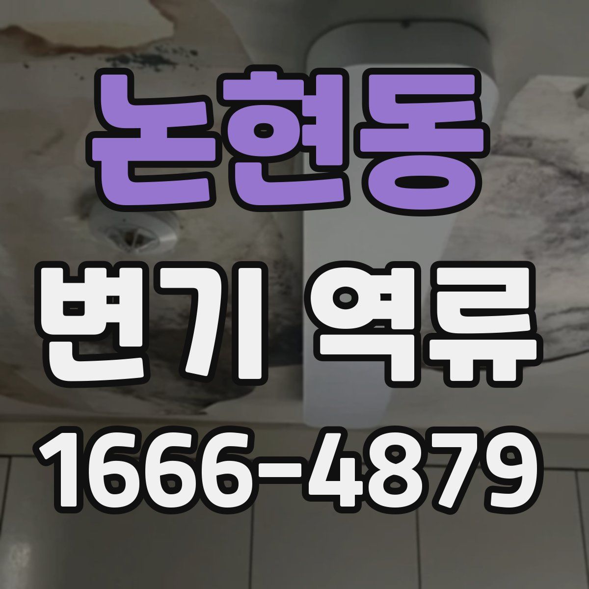 논현동 변기 역류
