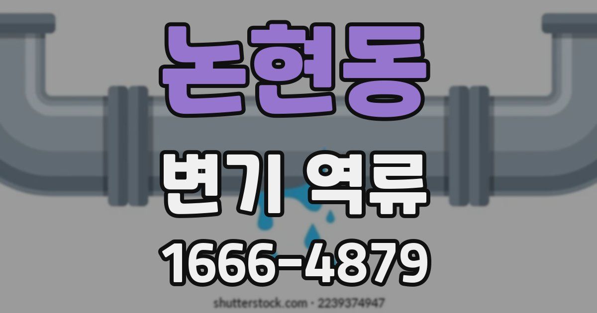 논현동 변기 역류