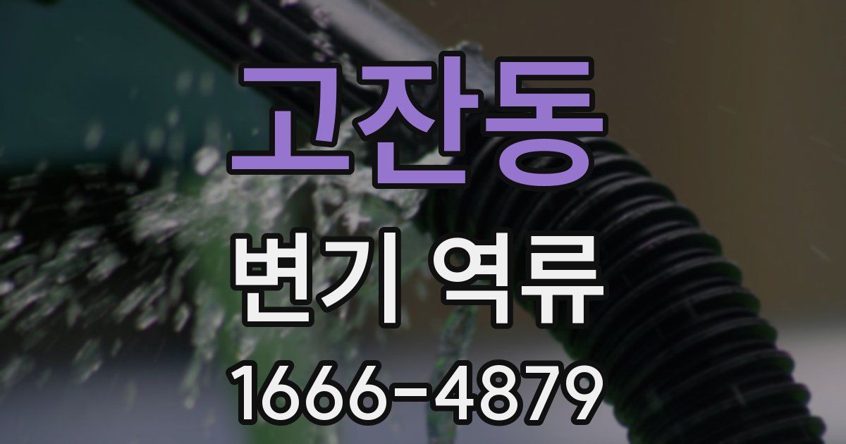 고잔동 변기 역류
