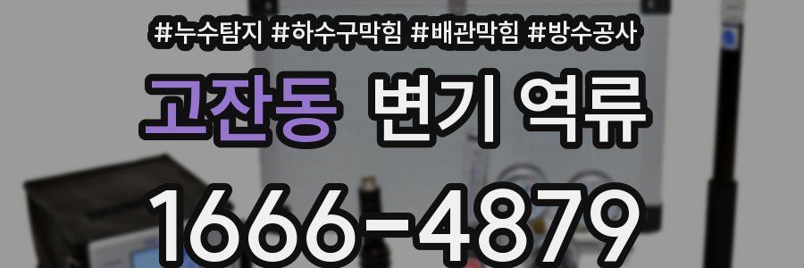 고잔동 변기 역류