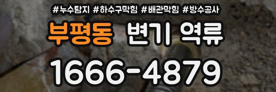 부평동 변기 역류