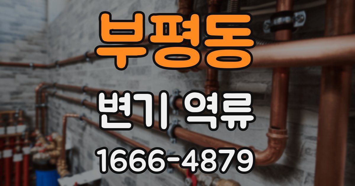 부평동 변기 역류