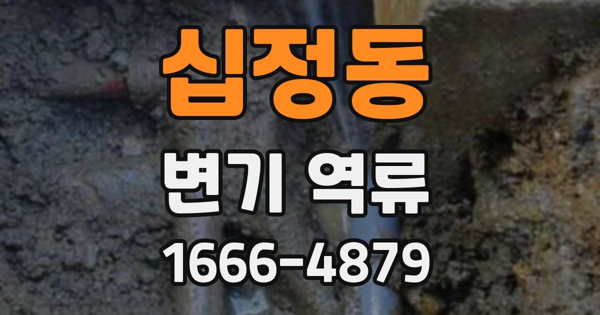 십정동 변기 역류