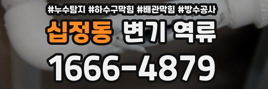 십정동 변기 역류