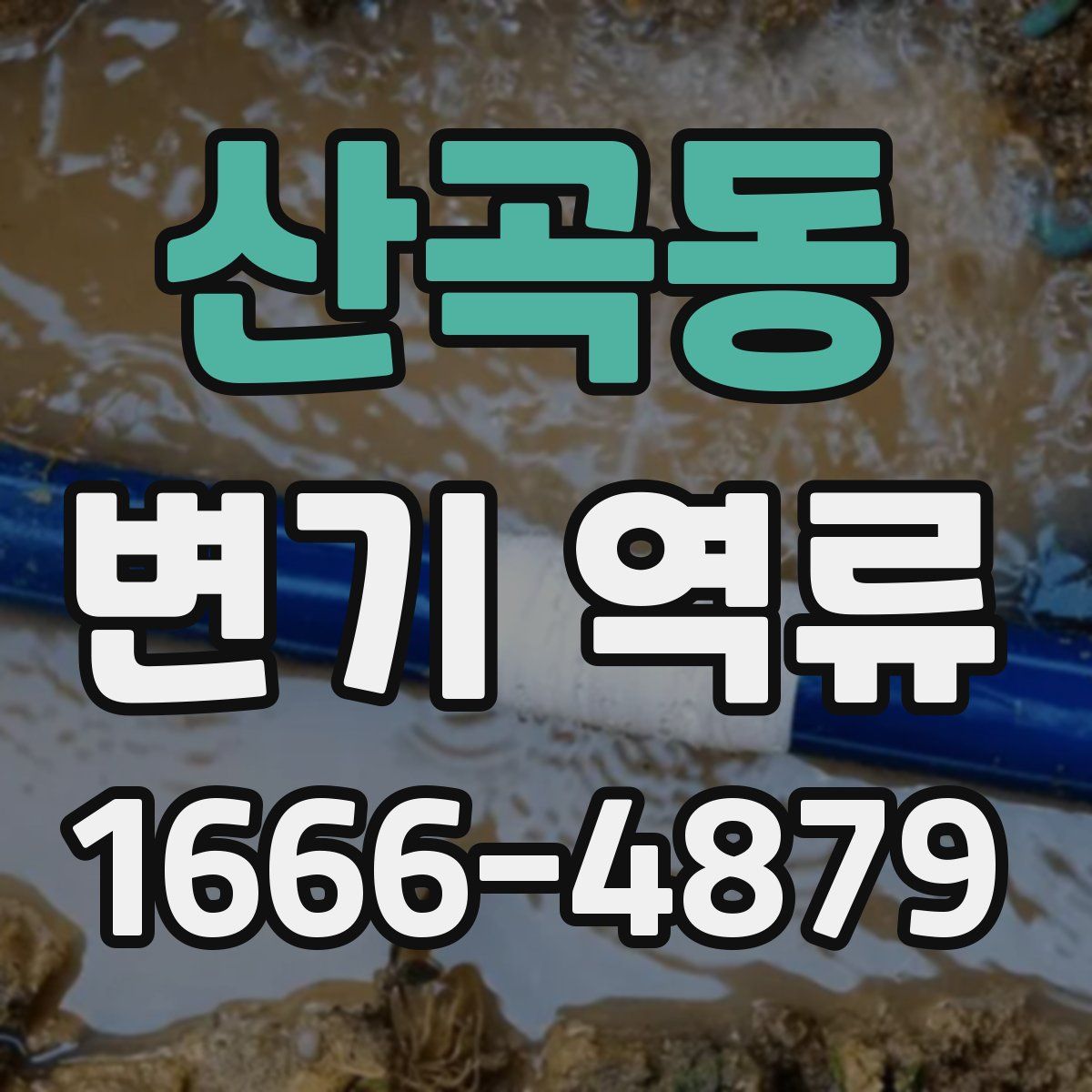 산곡동 변기 역류