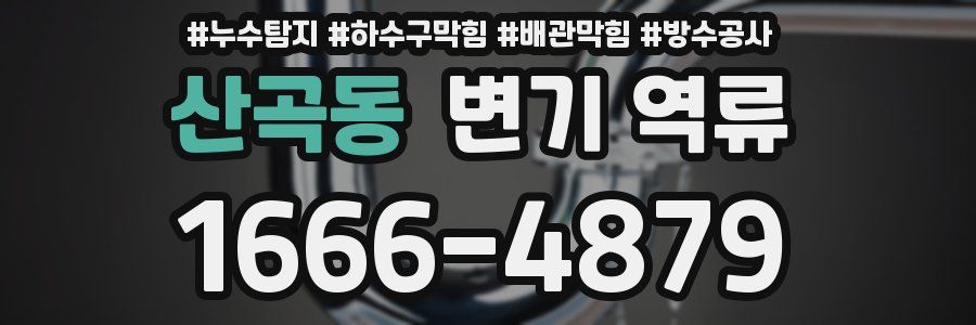 산곡동 변기 역류