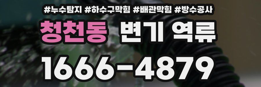 청천동 변기 역류