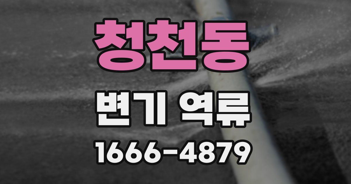 청천동 변기 역류