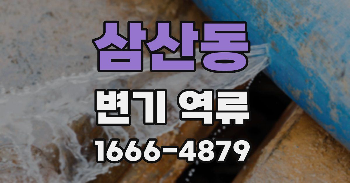 삼산동 변기 역류