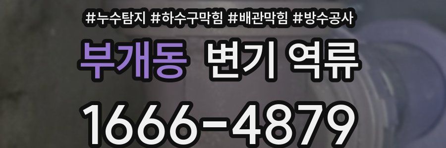 부개동 변기 역류