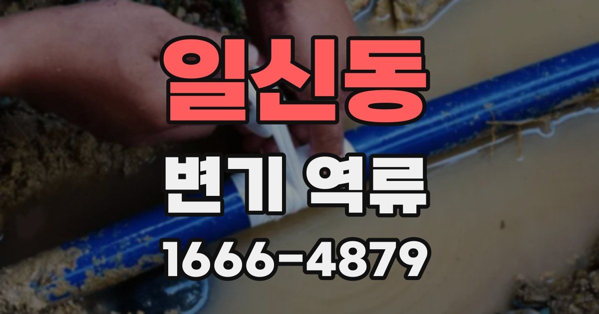 일신동 변기 역류