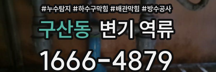구산동 변기 역류