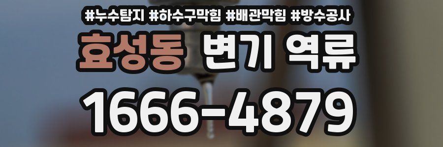 효성동 변기 역류