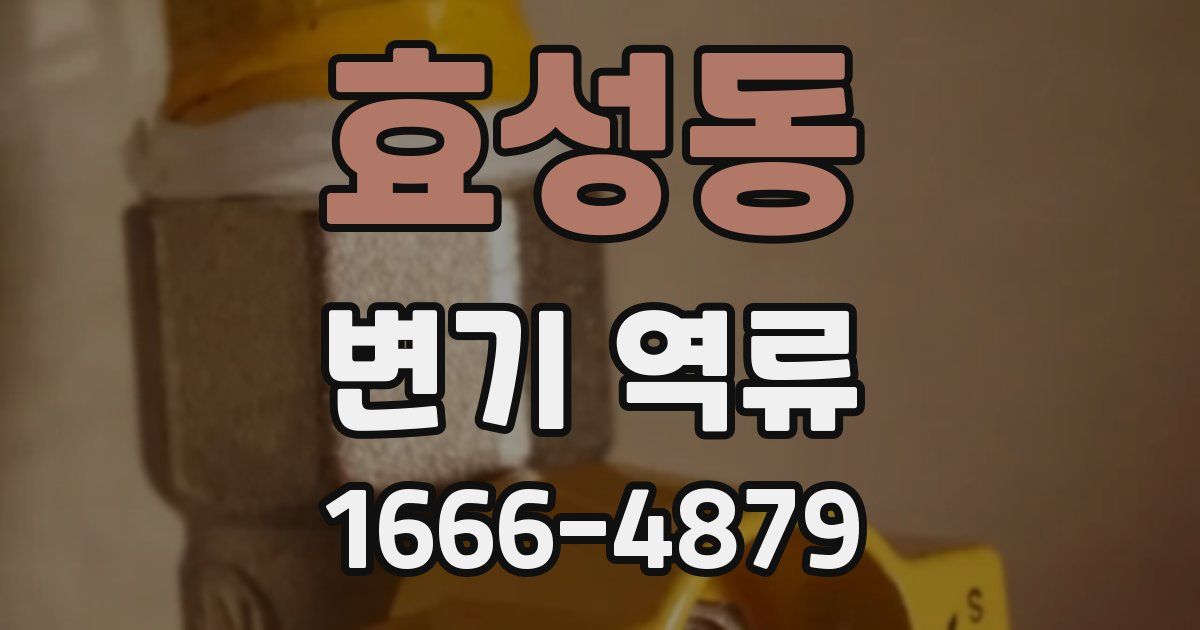 효성동 변기 역류