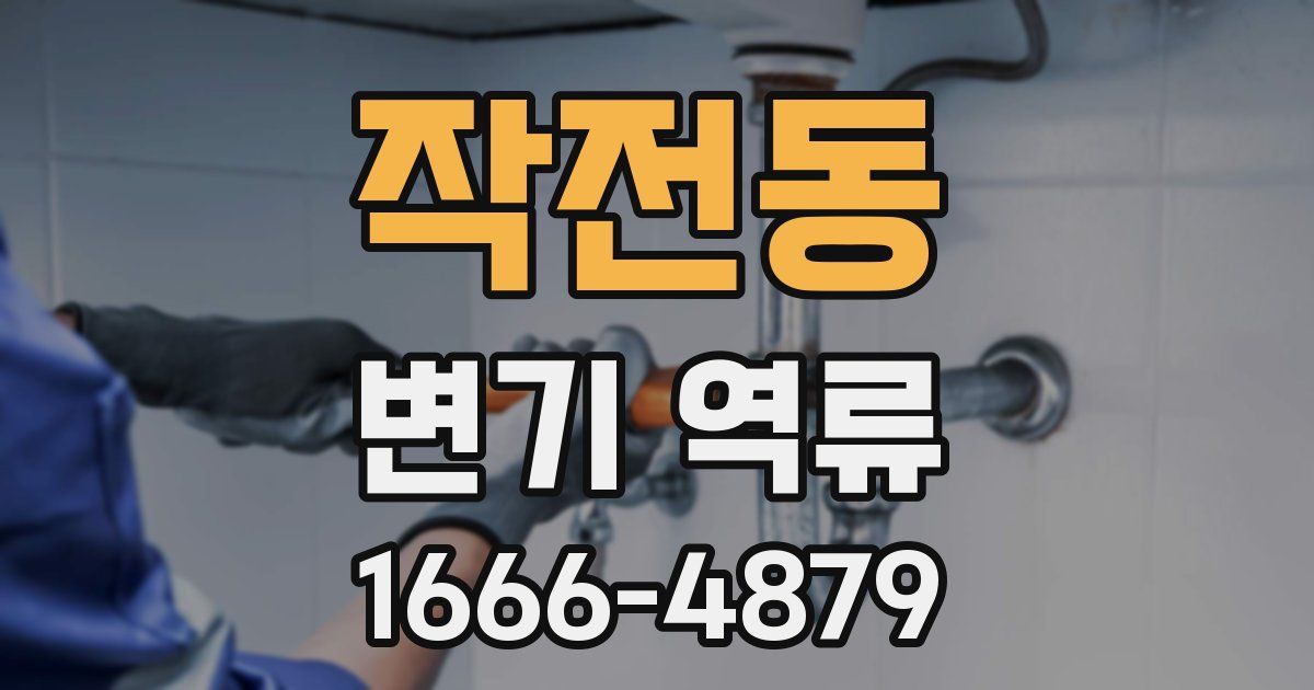 작전동 변기 역류