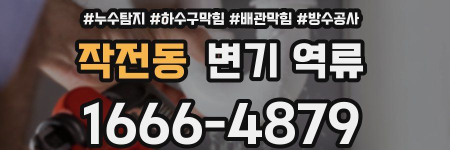 작전동 변기 역류