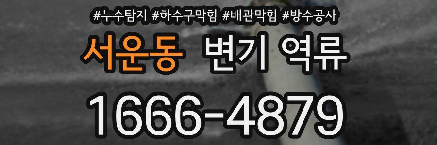 서운동 변기 역류