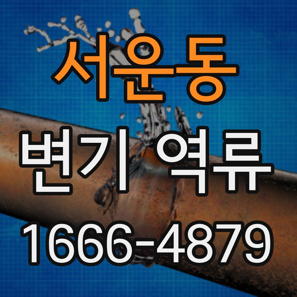 서운동 변기 역류