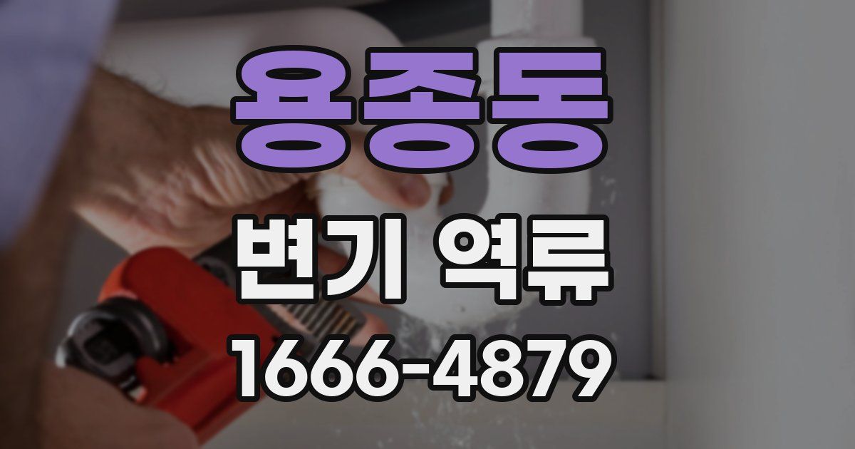 용종동 변기 역류