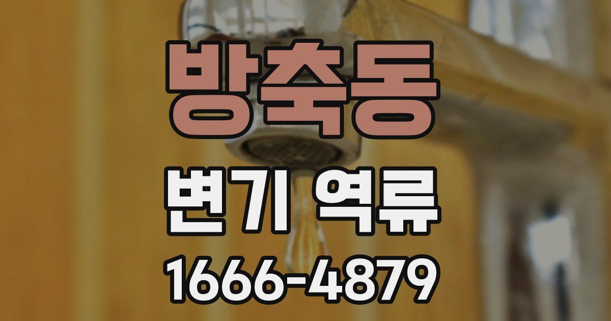 방축동 변기 역류