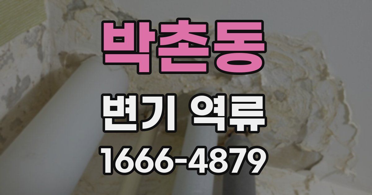 박촌동 변기 역류