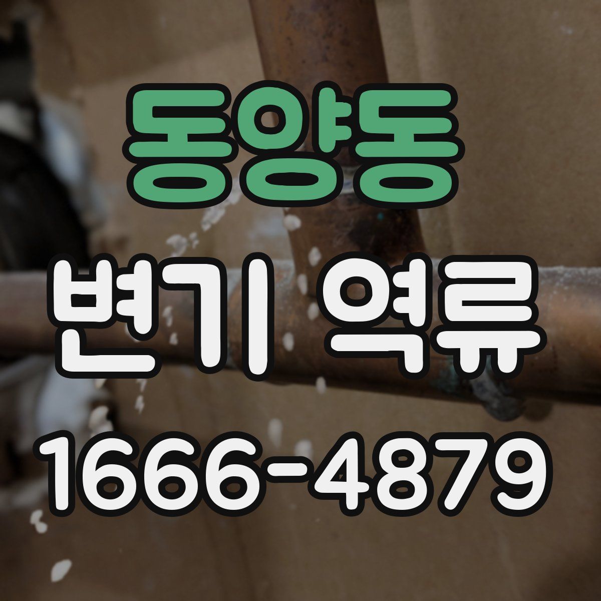 동양동 변기 역류
