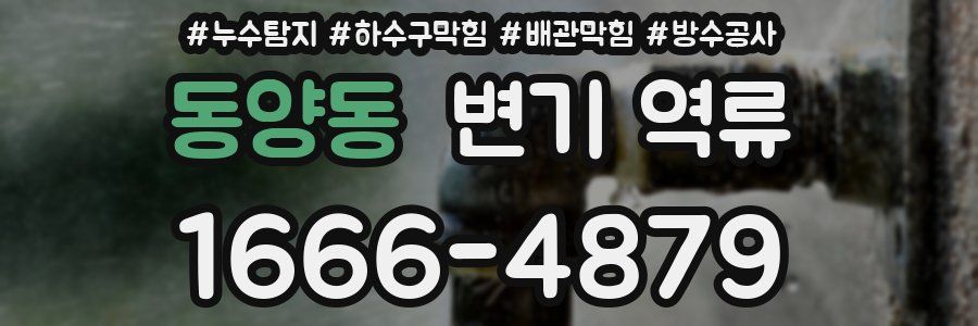 동양동 변기 역류