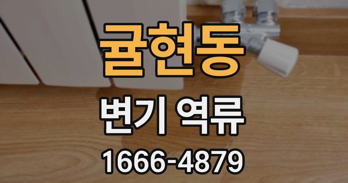 귤현동 변기 역류