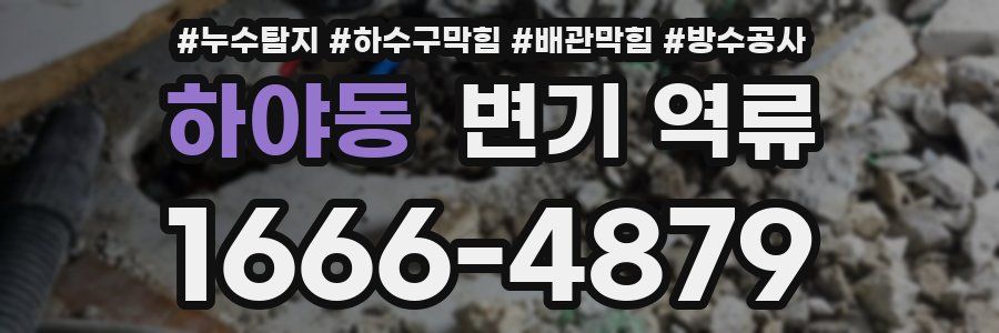하야동 변기 역류