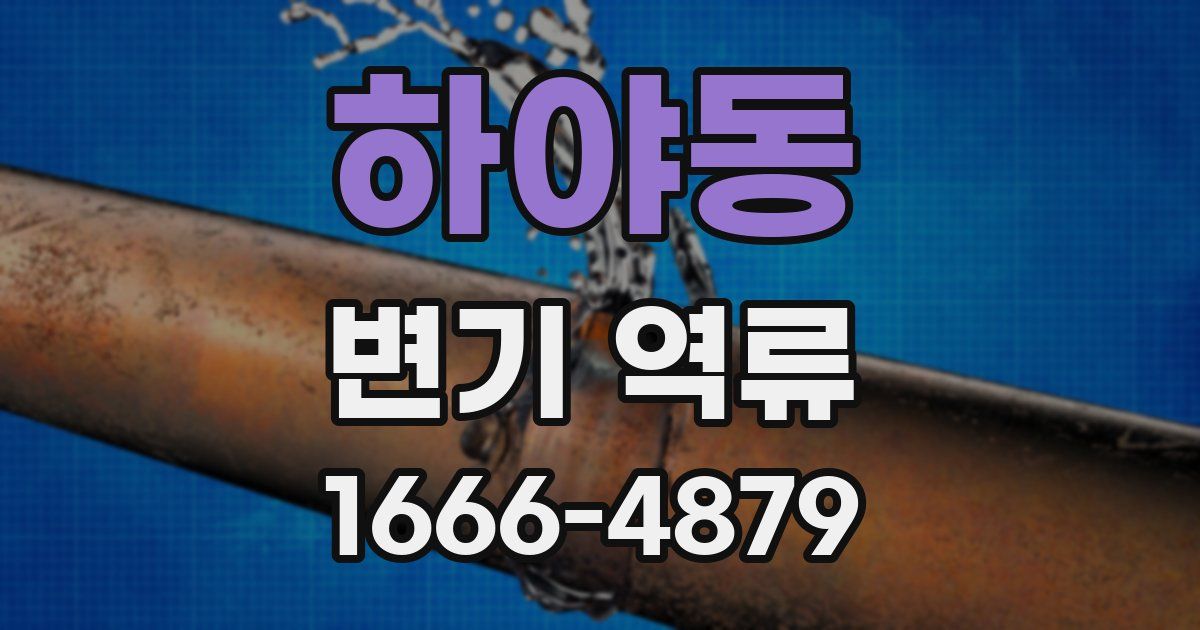 하야동 변기 역류