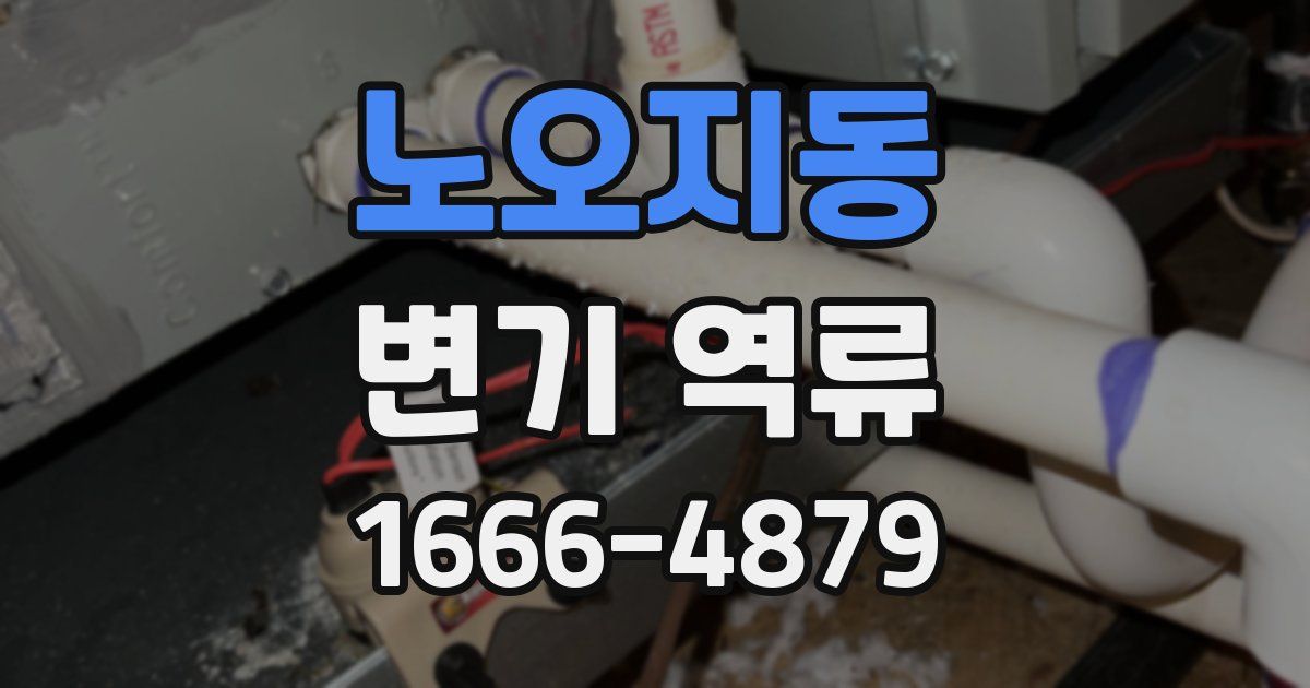 노오지동 변기 역류