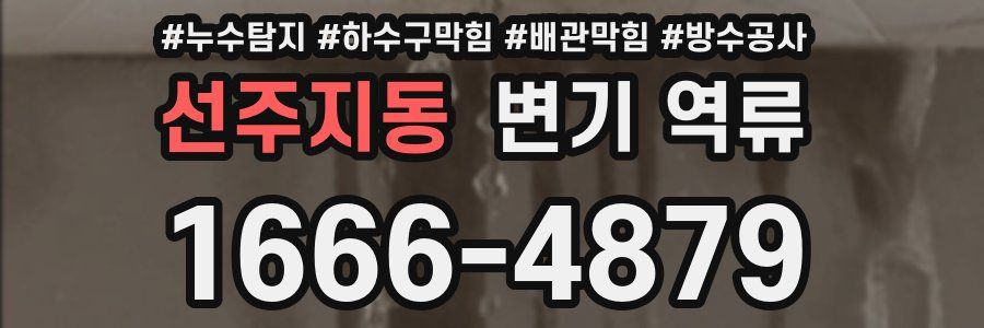 선주지동 변기 역류