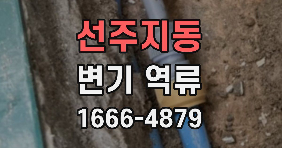 선주지동 변기 역류