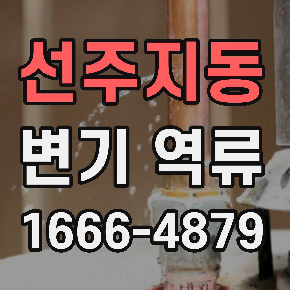 선주지동 변기 역류