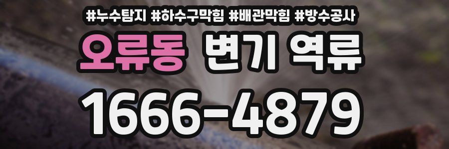 오류동 변기 역류