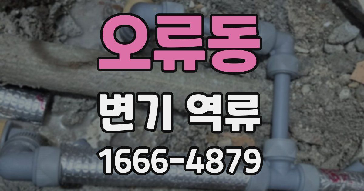 오류동 변기 역류