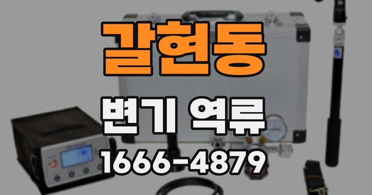 갈현동 변기 역류