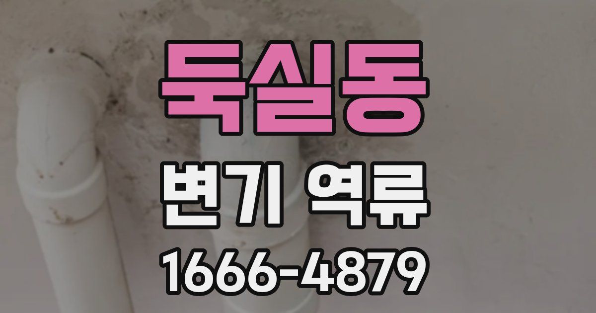 둑실동 변기 역류