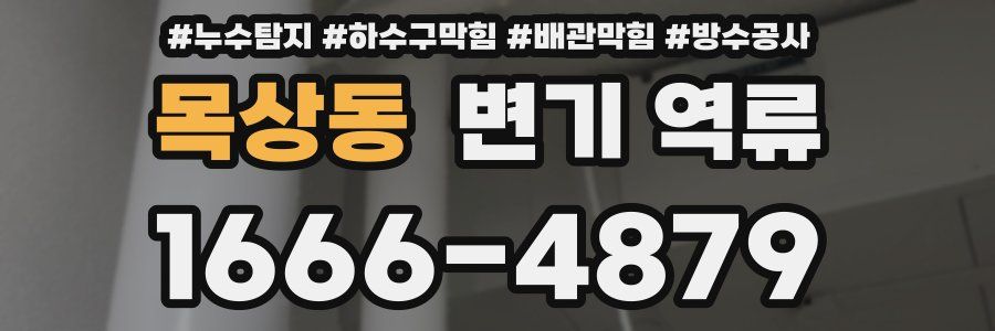 목상동 변기 역류