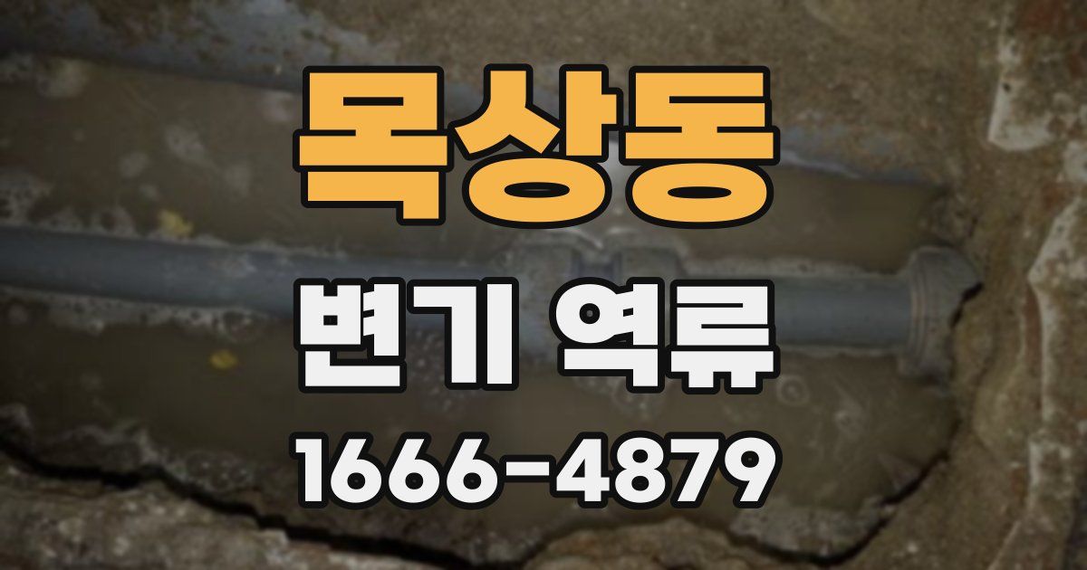 목상동 변기 역류