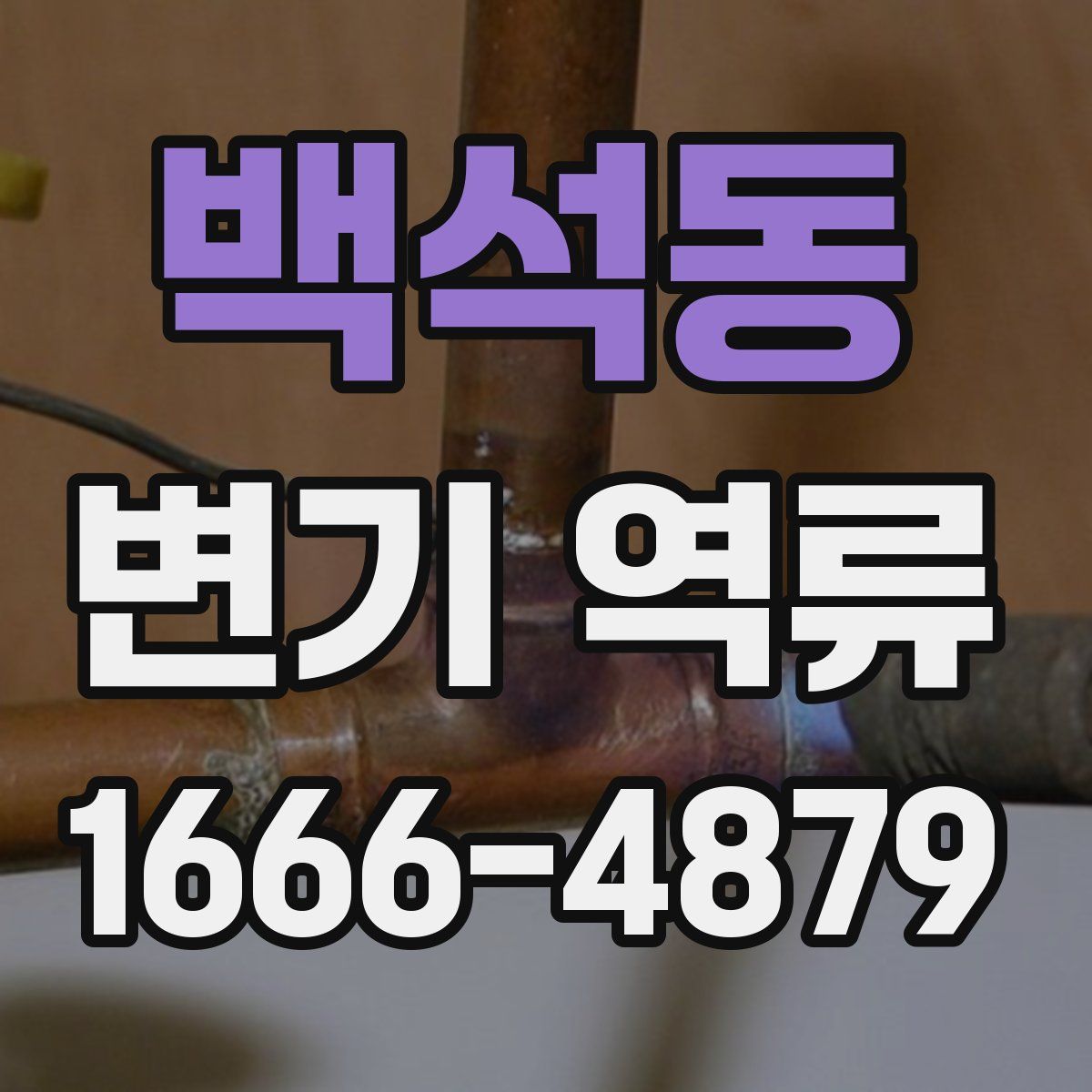 백석동 변기 역류