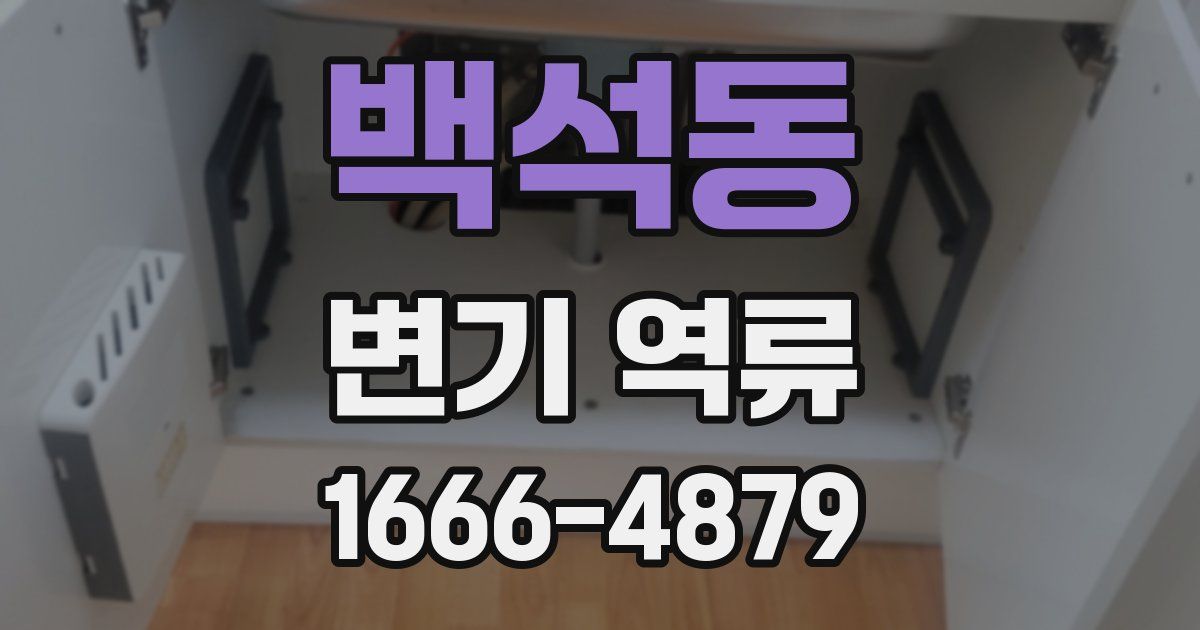 백석동 변기 역류