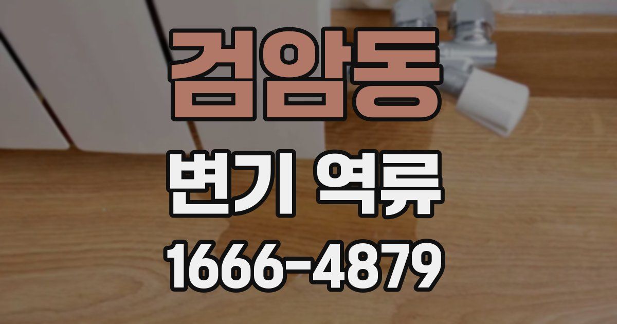 검암동 변기 역류