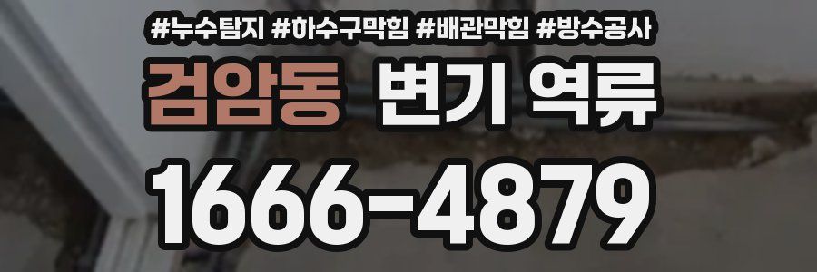 검암동 변기 역류