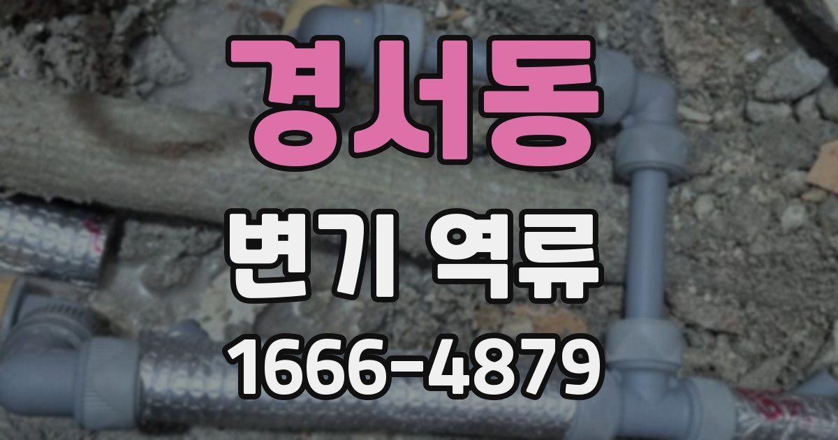 경서동 변기 역류