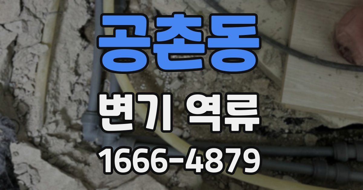 공촌동 변기 역류
