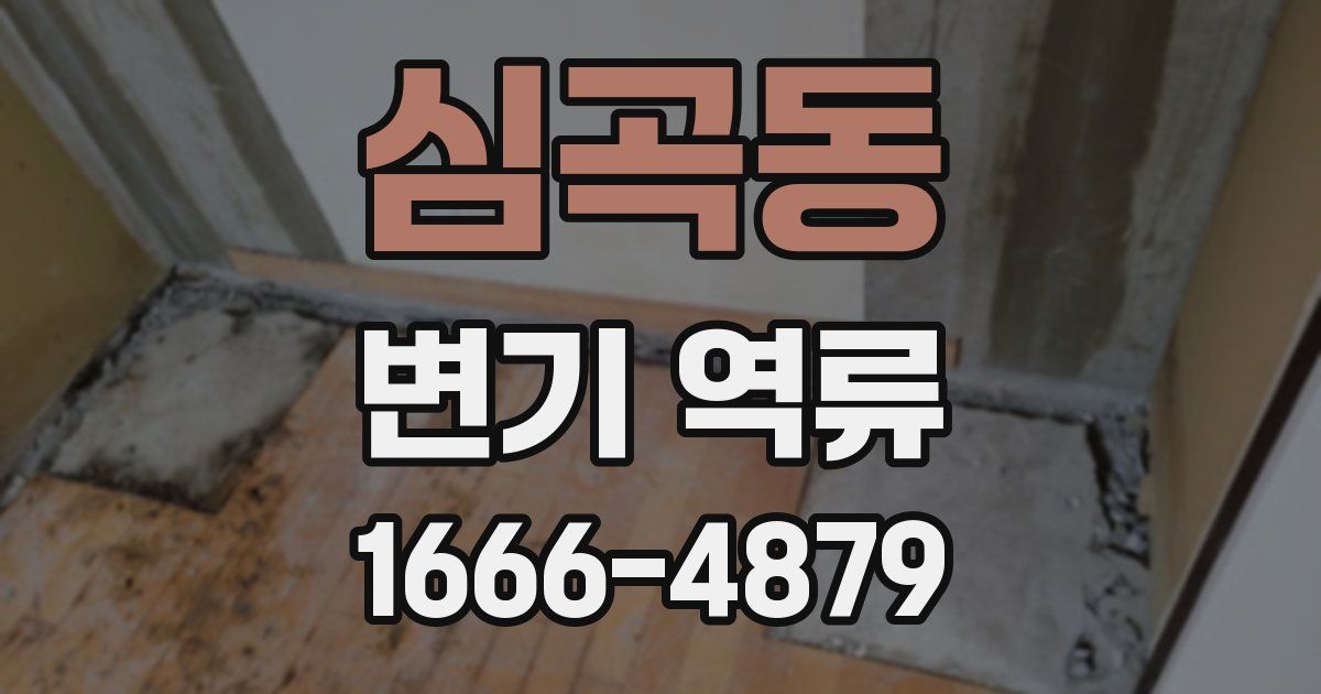 심곡동 변기 역류